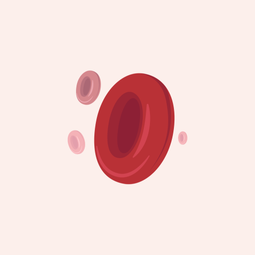 pernicious anemia
