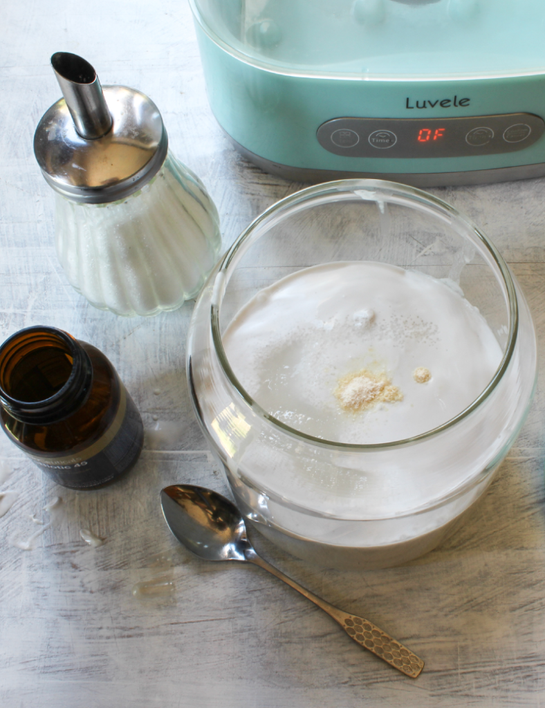 coconut yogurt recipe