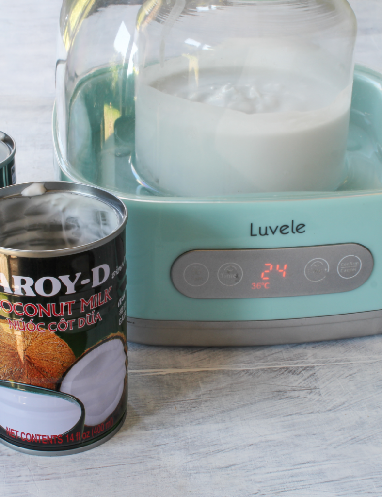 coconut yogurt recipe