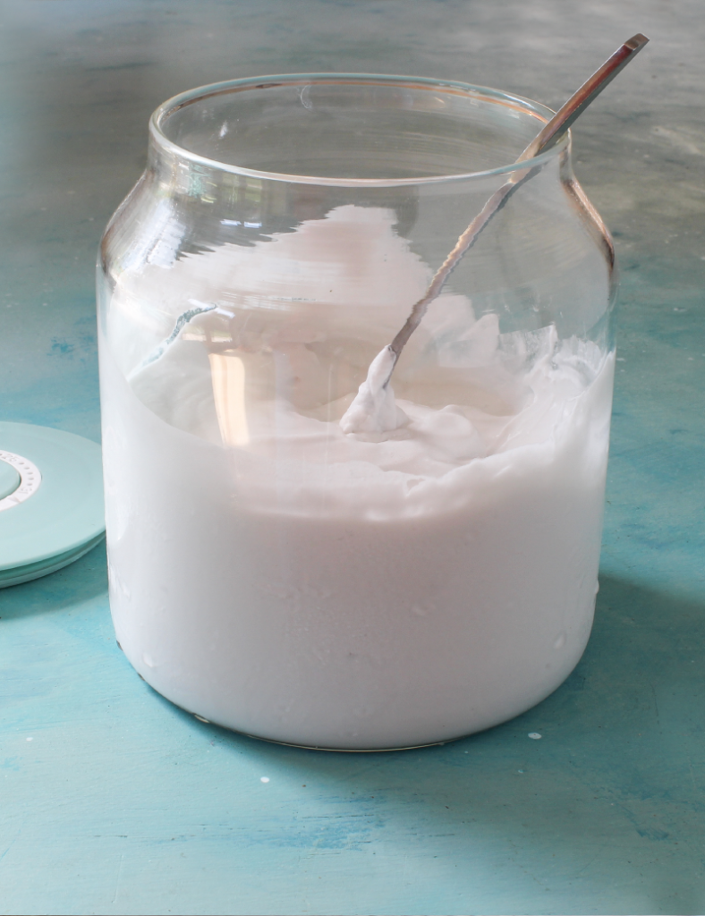 coconut yogurt recipe