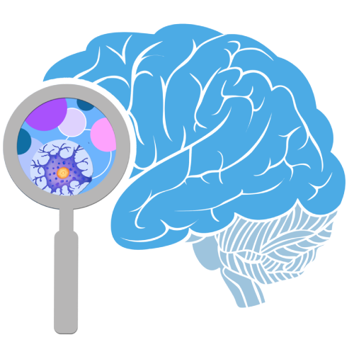 NIH Brain Initiative