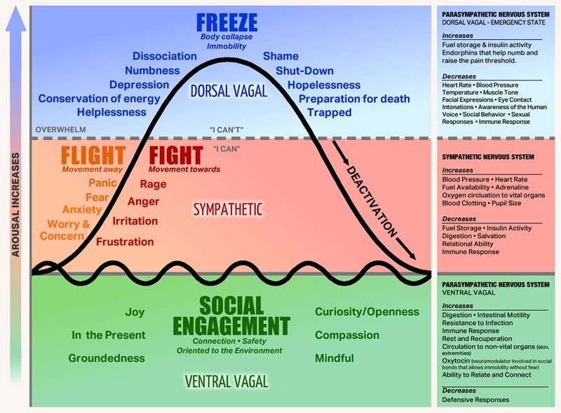 Chronic stress image 2