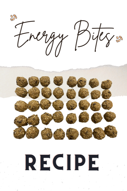 recipe for energy bites 2