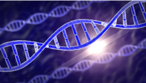 MTHFR gene mutation