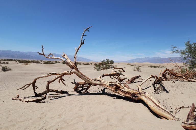 Desert illustrating travels in hot countries