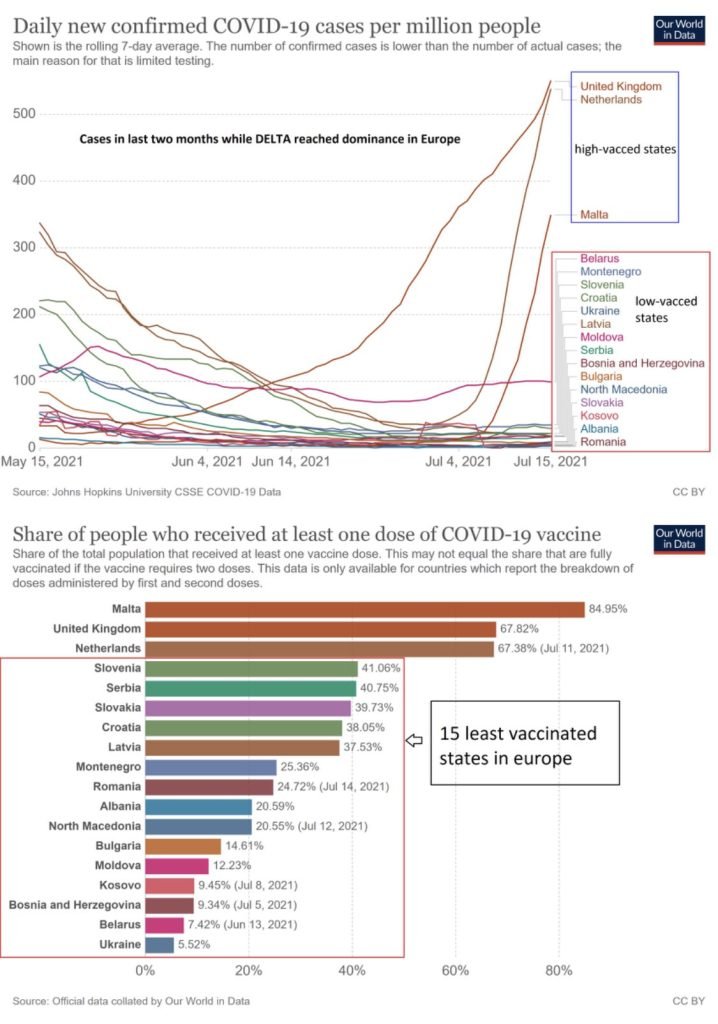 confirmed covid cases