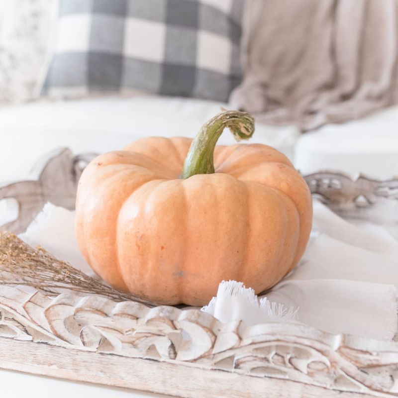 recipes for thanksgiving dinner